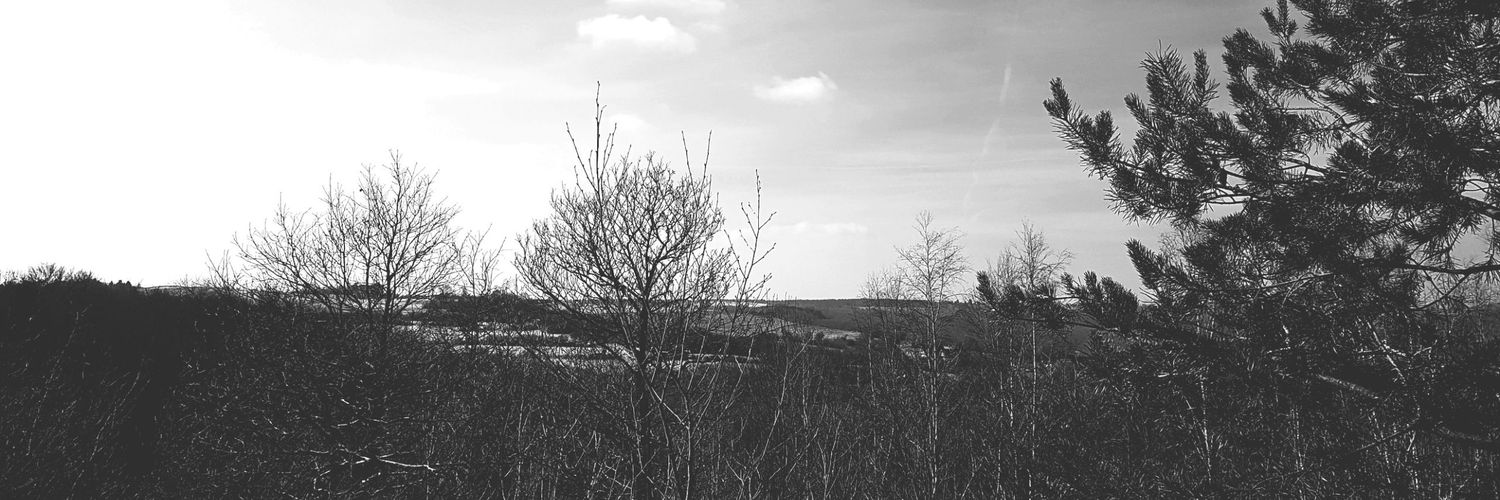 lori_verdandi's profile banner image