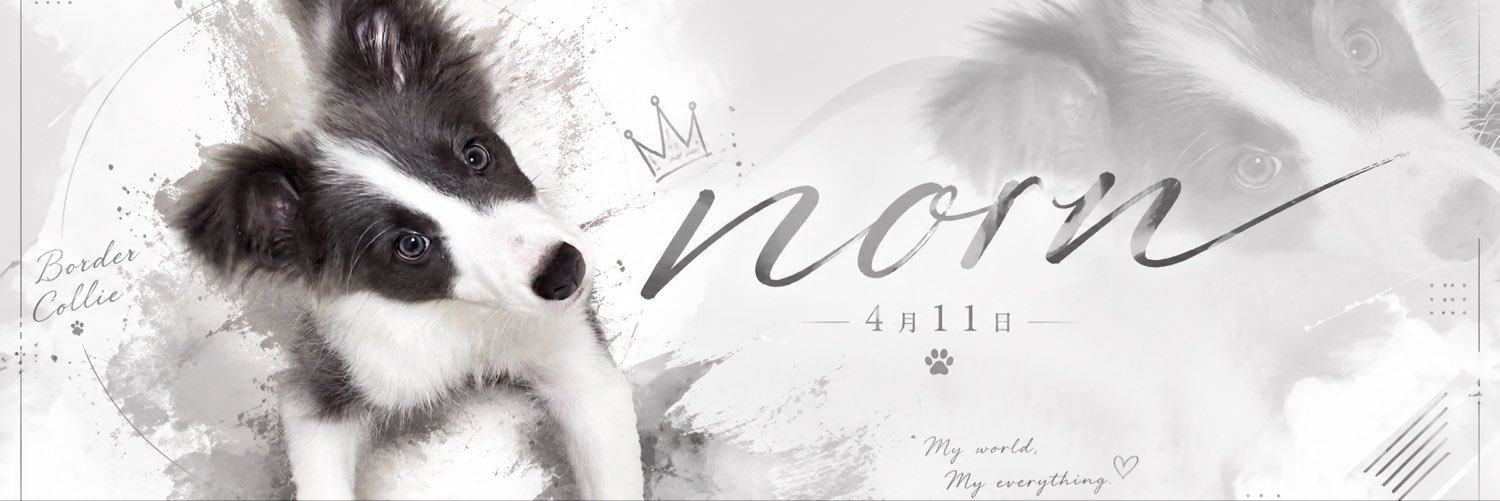 osono1212's profile banner image