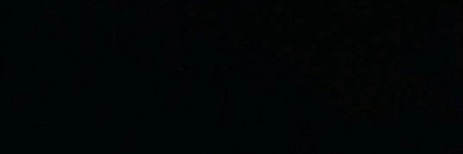 สติช banner