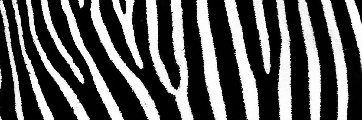 Sandro Swordfire banner