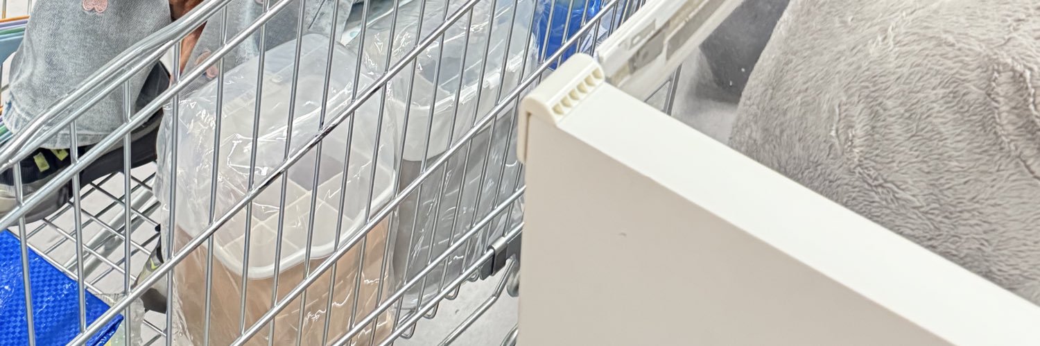 ⋆𐙚 banner