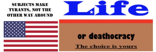 D. C. Link Author's banner