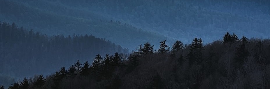 aumillertrading's profile banner image