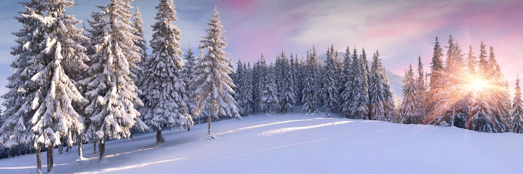 jaredlyon's profile banner image