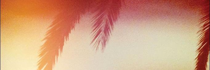 blancorocio's profile banner image