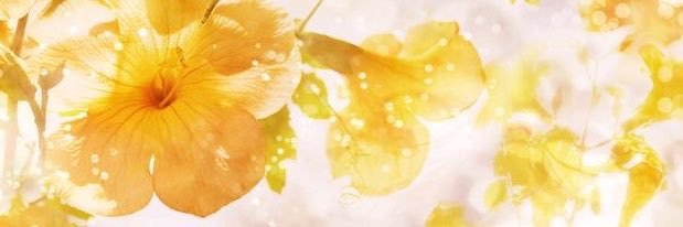 i8luuk's profile banner image