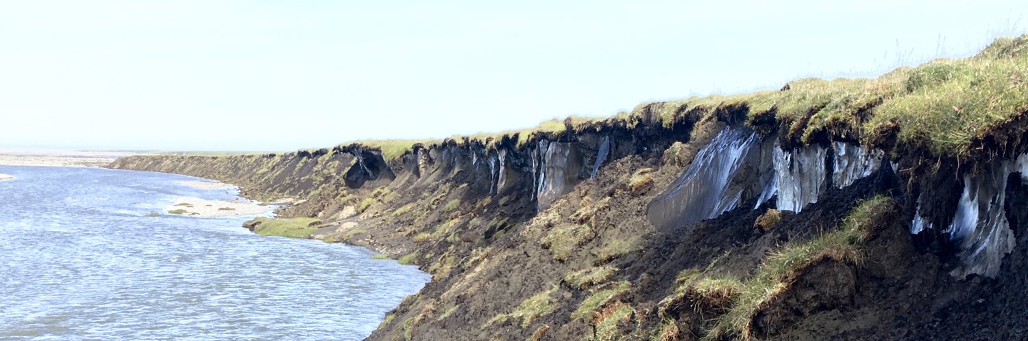 Marisa Repasch banner