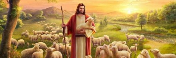 Hongvien66 Profile Banner