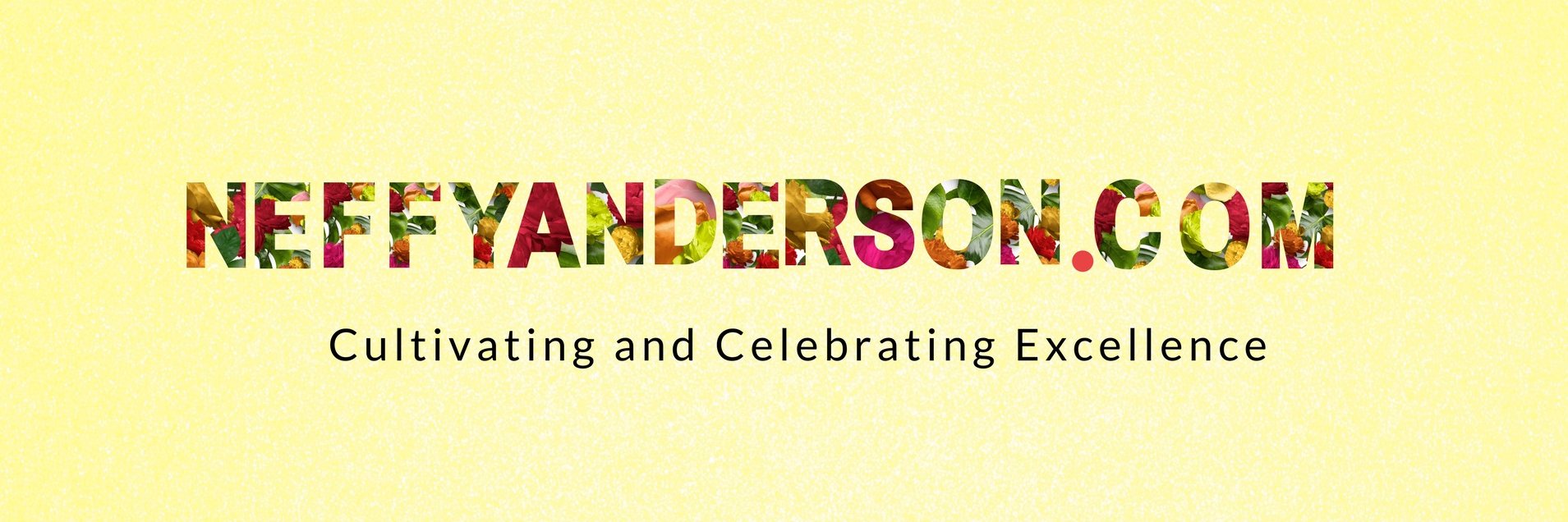 Nefertiti Anderson banner