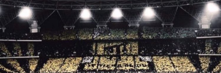 N . F banner