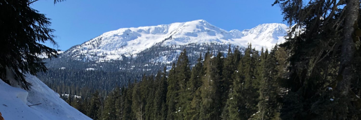 jaynelandry's profile banner image