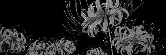 usothc's profile banner image