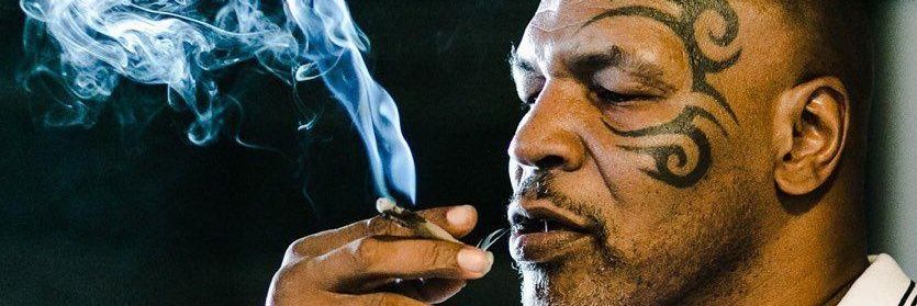Blunts and Boxing's banner