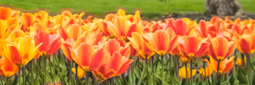 Jan Spamperson, Real Estate Agent/NFT Therapist banner