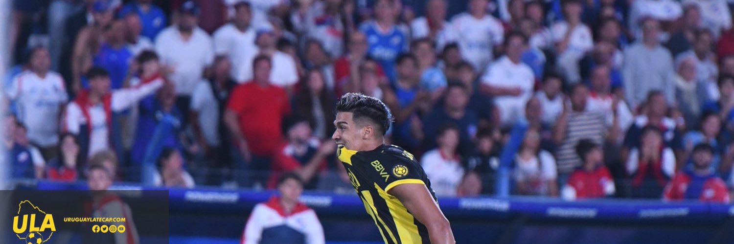 Mauro Altaleff banner