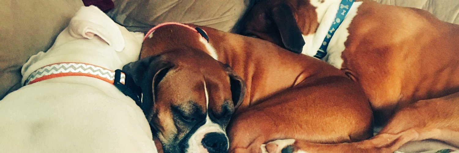 mel_hatch's profile banner image