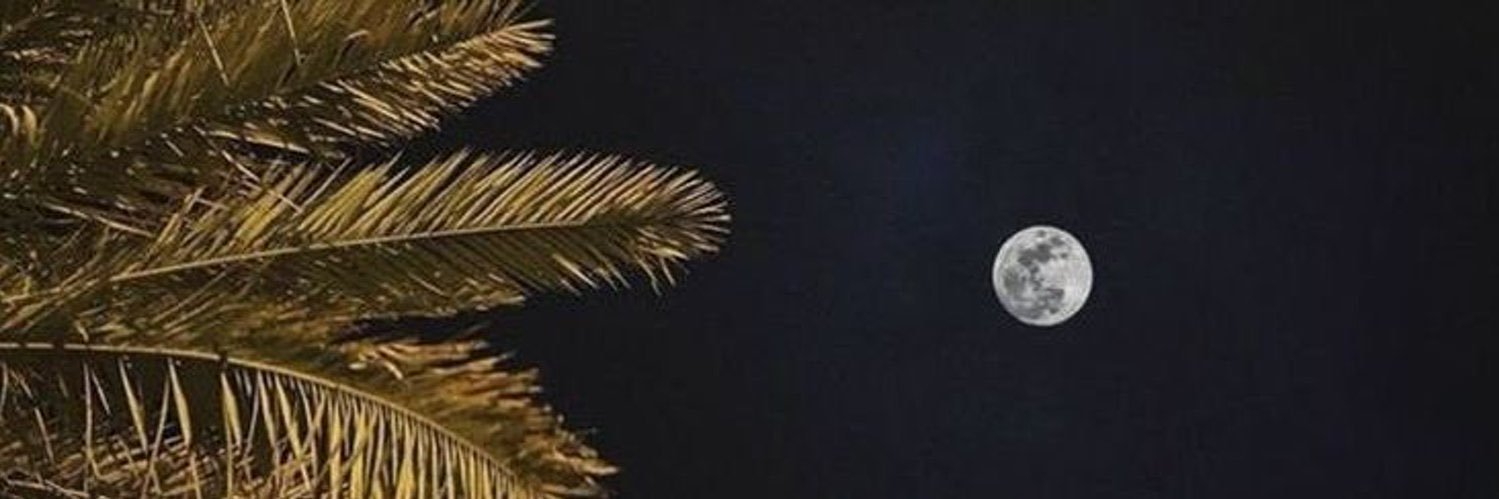 Amani🇸🇦 banner