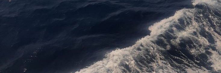 SarahCLS_'s profile banner image
