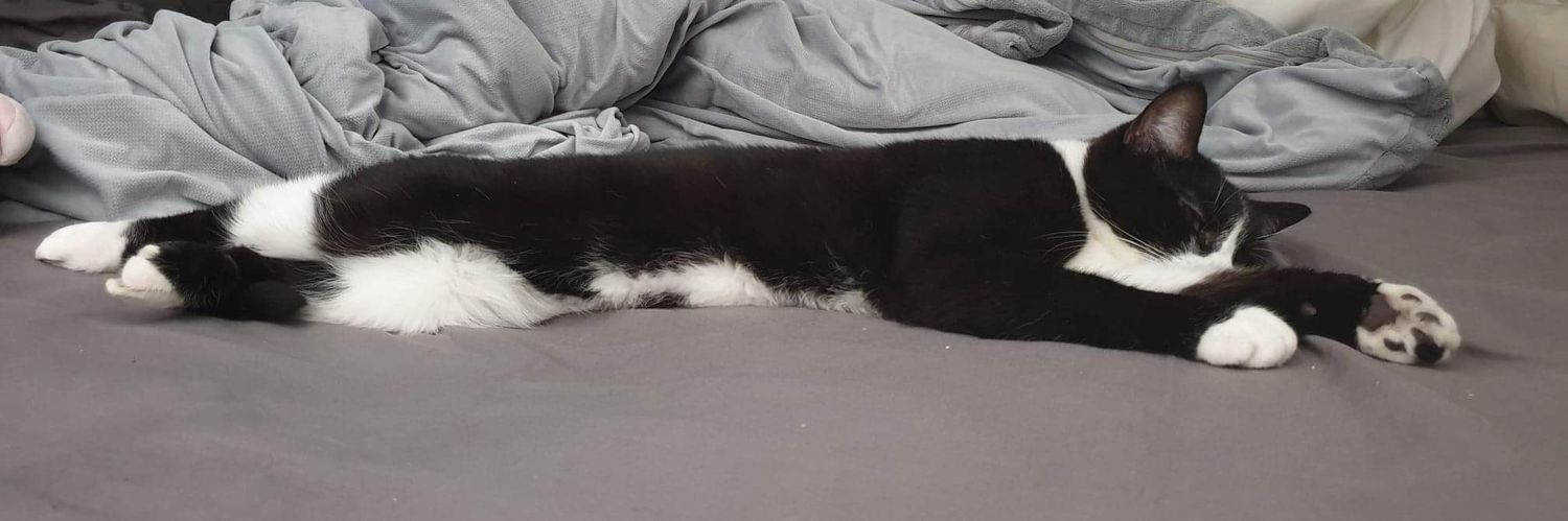 notmaddie's profile banner image