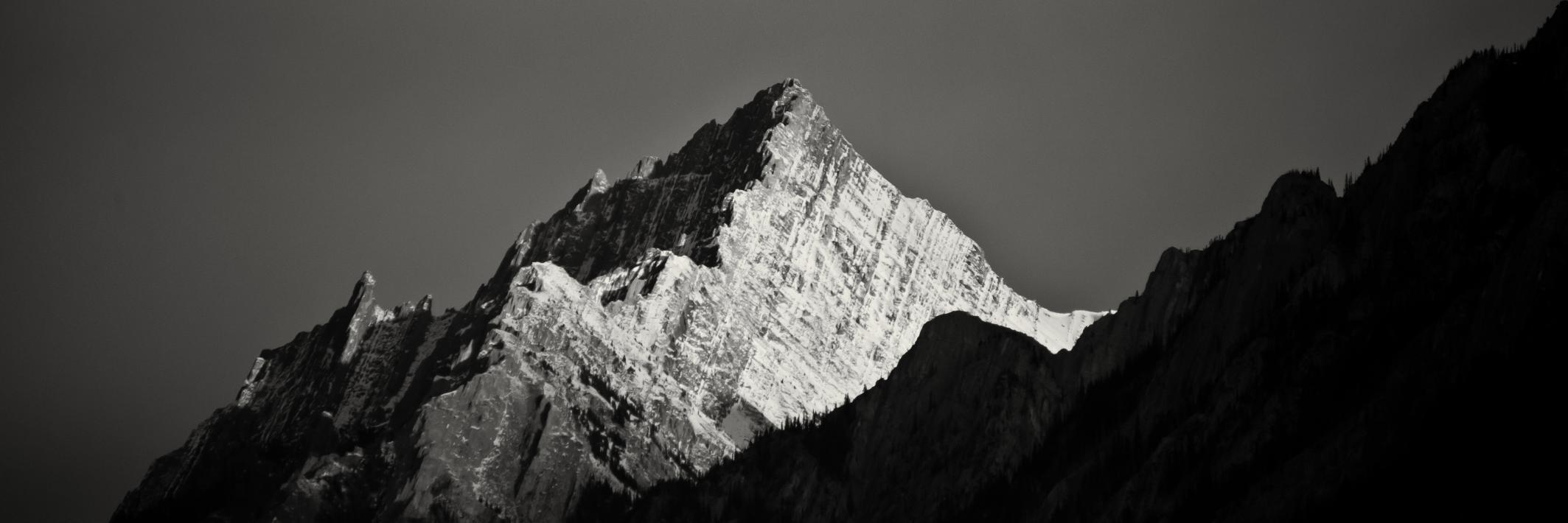 _cruzjerrold's profile banner image