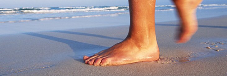 Podiatry Inc. banner