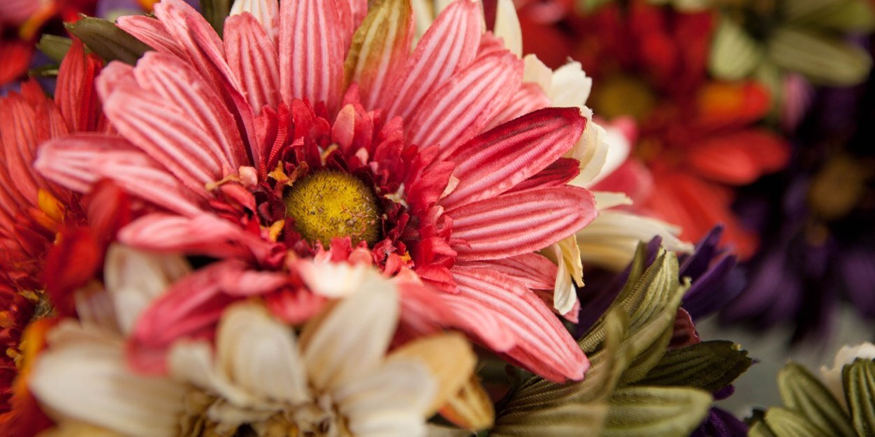 fippie's profile banner image