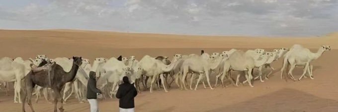 ابن عطا العازمي banner