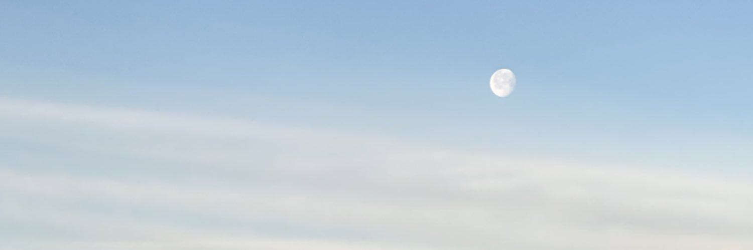 annie_linnik's profile banner image
