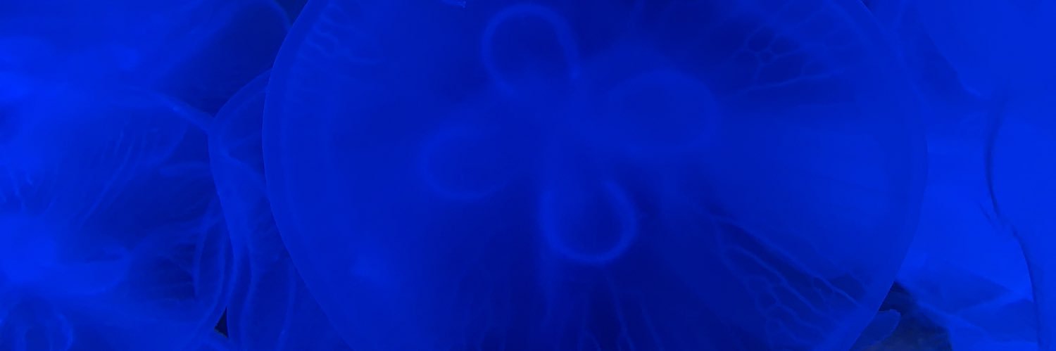 Arukonsam's profile banner image