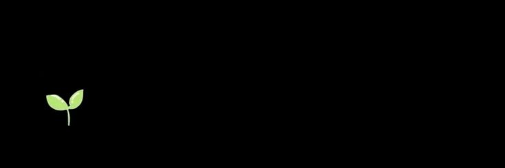 pearlduck_'s profile banner image