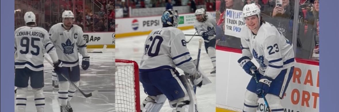 e - p¡nk 🩷🍁🐯 banner