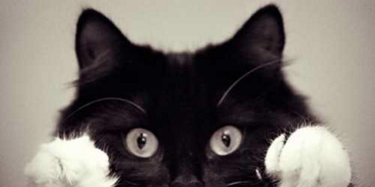 PianUchul's profile banner image