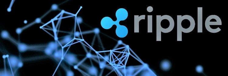 The Crypto Philosopher's banner