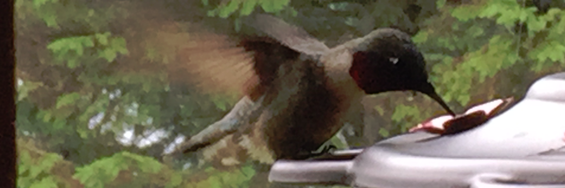 BringBackNormal's profile banner image