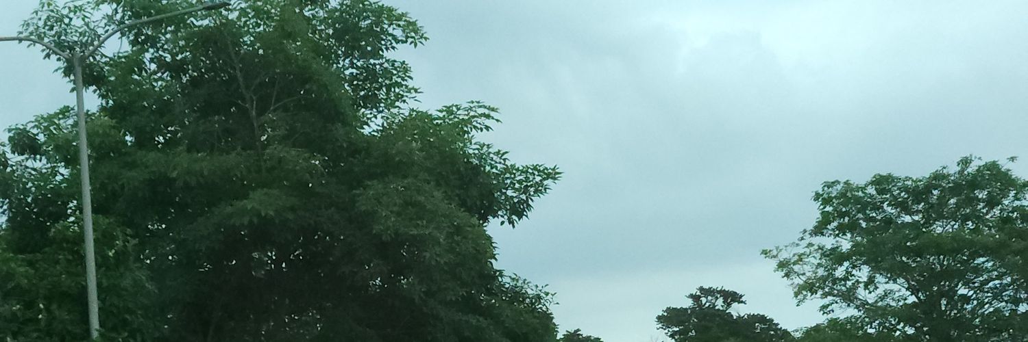 • ☆ Ash ☆ • banner