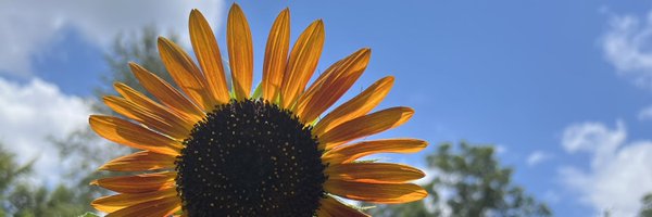 Dr. Amy Fineburg Profile Banner