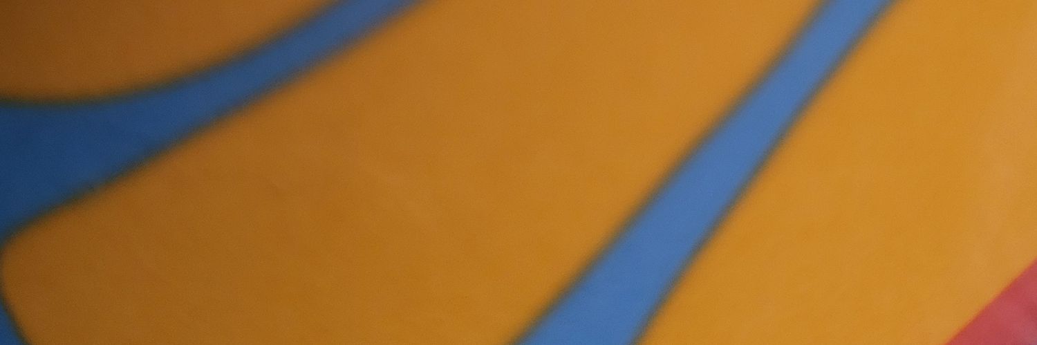 S banner