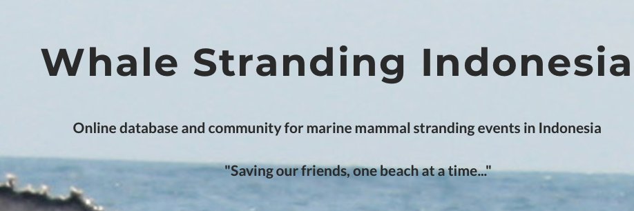 stranding_ID's profile banner image