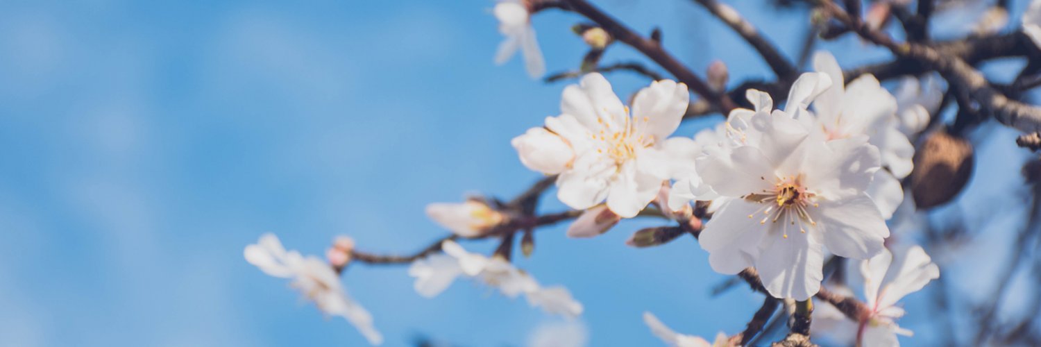 CintursUalg's profile banner image