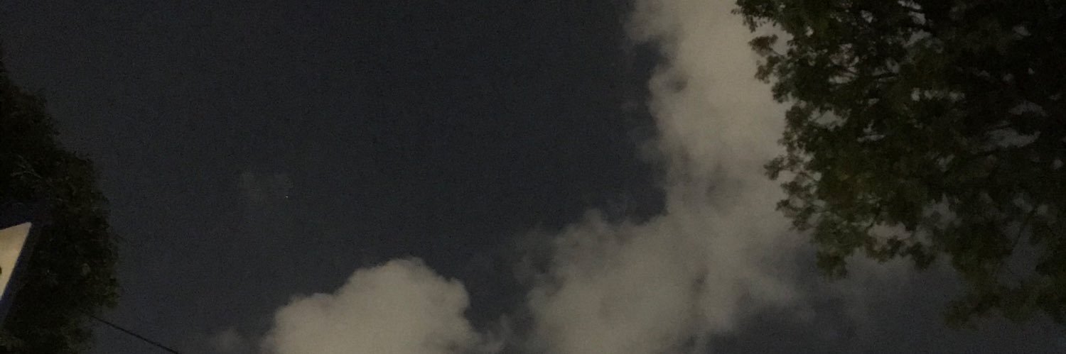 rose 🥀 banner
