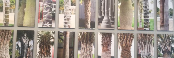 lizzadwoskin Profile Banner