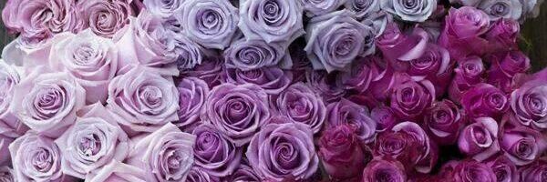 brw0547's profile banner image
