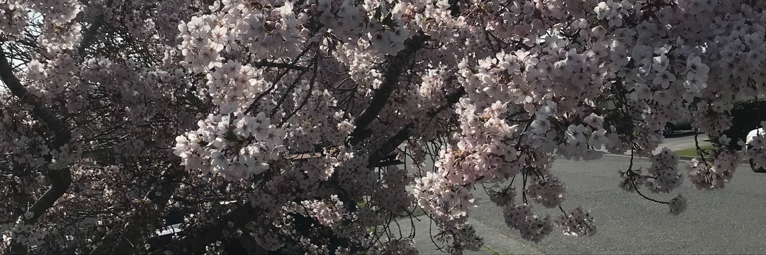 lil_msbubbles's profile banner image