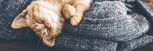 IzzyYikess Profile Banner