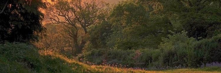 cristina banner