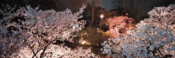 salmo__cos_o0 Profile Banner