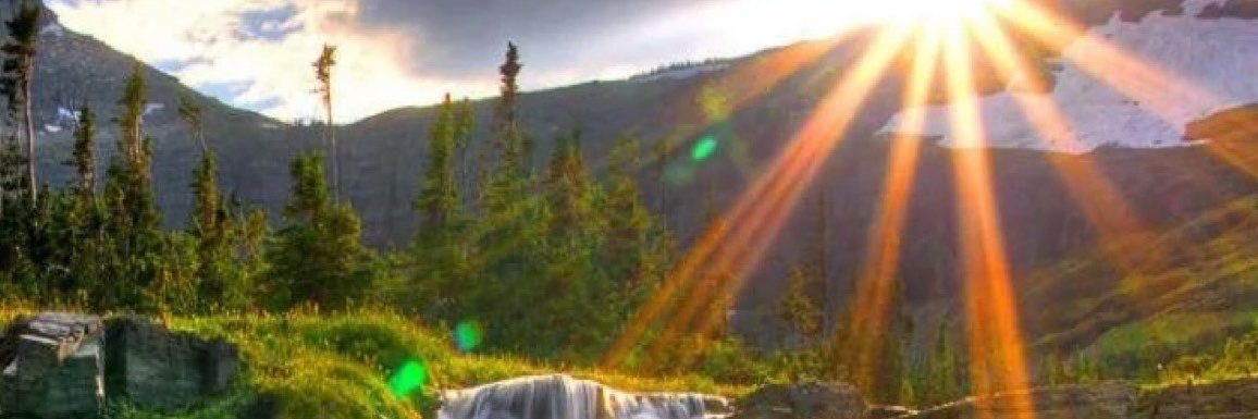 vish_dreams's profile banner image