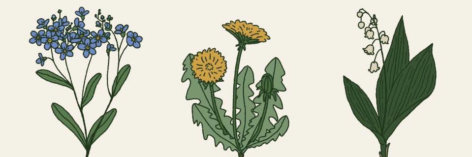SaffronGarside's profile banner image
