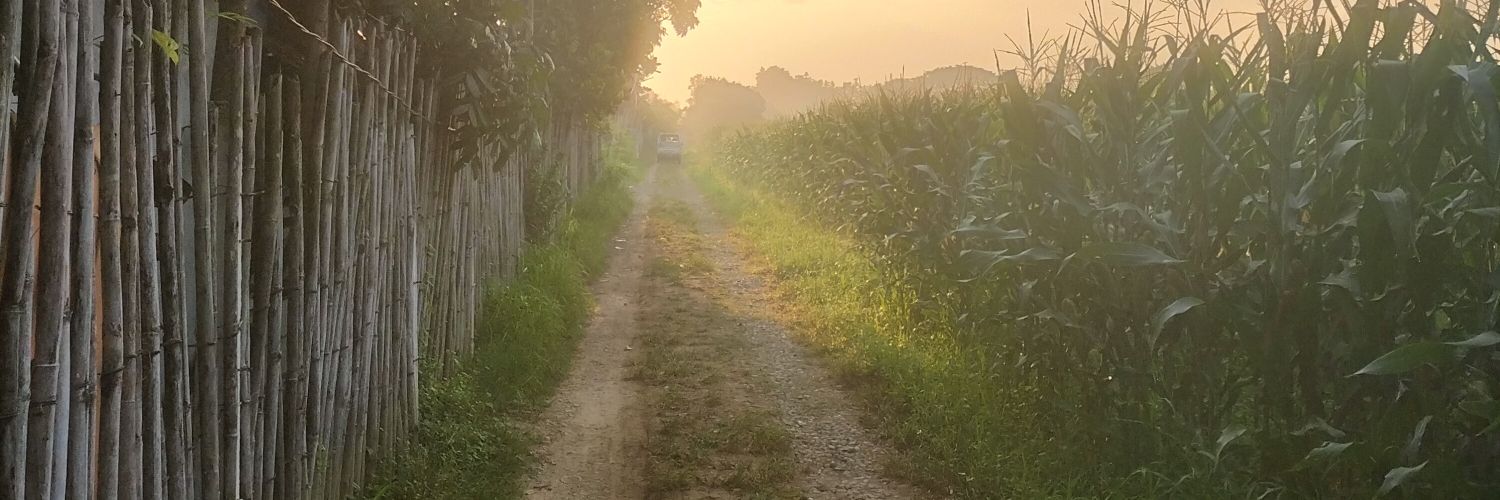 Dsham_'s profile banner image