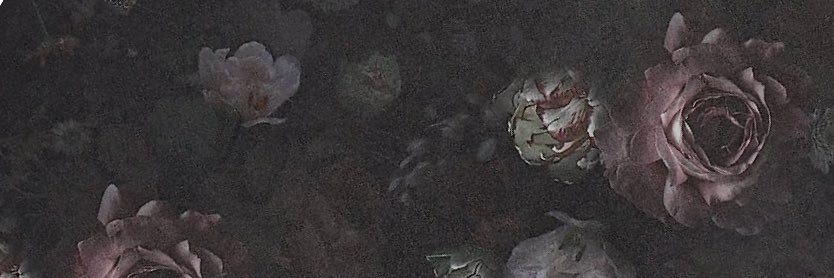 SummerOwnsYou's profile banner image